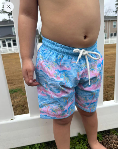 Boys Beach resort Swim Trunks